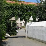 Geschichte des Töngeshofes
